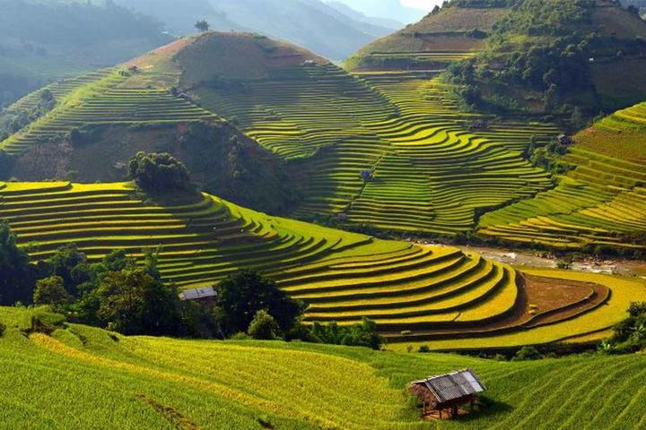 Cách Khởi Nghiệp Kiếm Tiền Bán Thời Gian Dành Cho Người Mới_Tuyển dụng Ma trận điểm truy cập