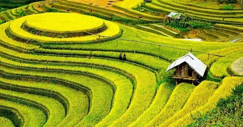 Cách Khởi Nghiệp Kiếm Tiền Bán Thời Gian Dành Cho Người Mới_Phần mềm biên tập video chuyên nghiệp