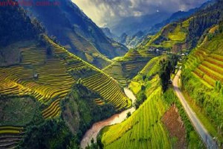 Chuyên gia Hotspot Matrix phân tích: Phương Oanh diện set đồ 50 và marketing video_Phân phối video đa kênh