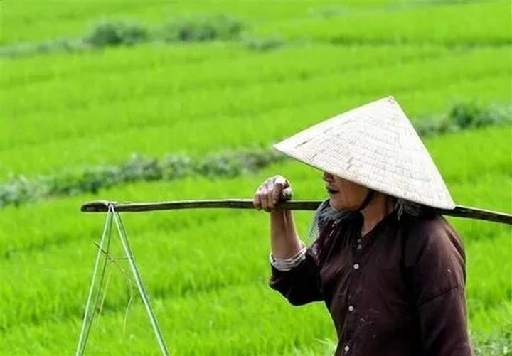 Mẹ Bỉm Sữa Ở Đà Nẵng Kiếm Tiền Từ Video Với Hotspot Matrix